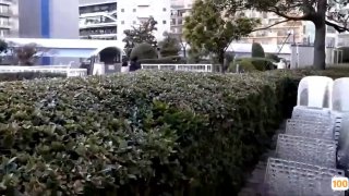 日韩精品一区二区三区线观看人🈲国产成人豆奶短视频app🈲成人无码另类免费视频